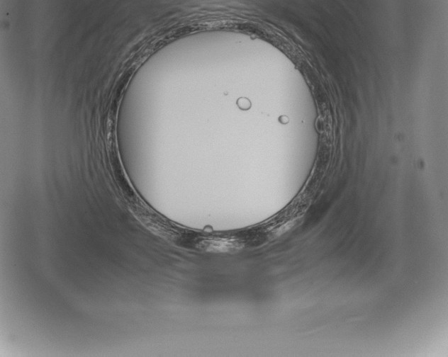 X0000080800507200612151036