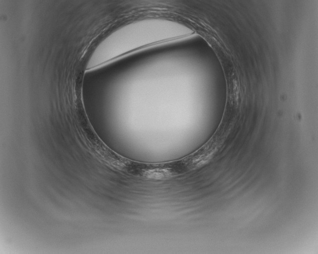 X0000080800508200612151036