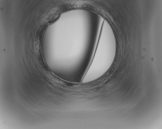X0000080800509200612151036