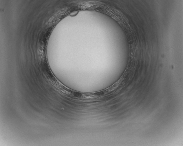 X0000080800510200612151036