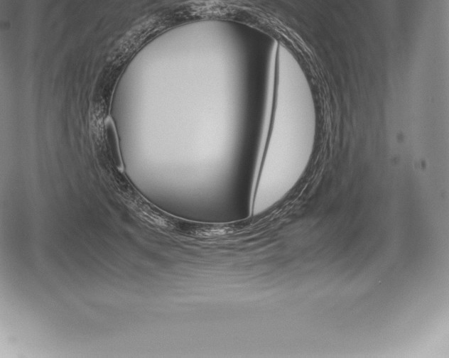 X0000080800513200612151036