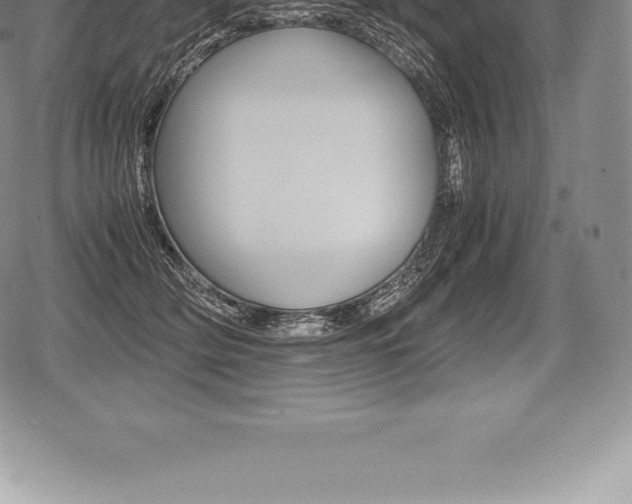 X0000080800514200612151036