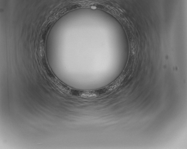 X0000080800515200612151036