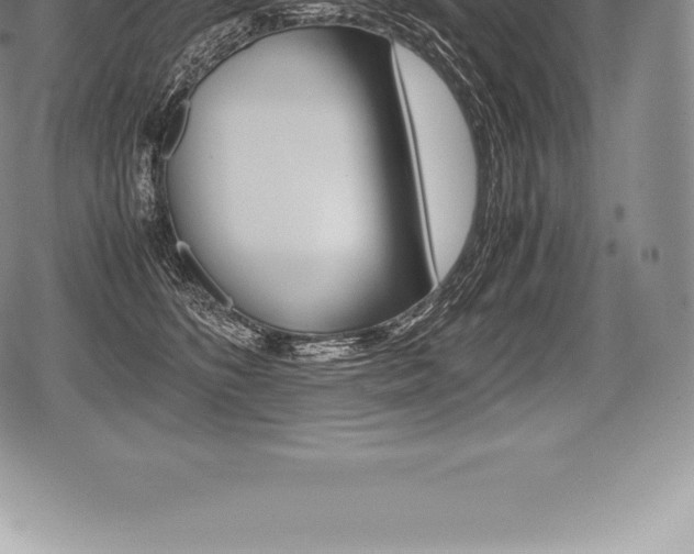 X0000080800516200612151036