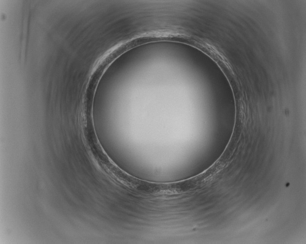 X0000080800536200612151035