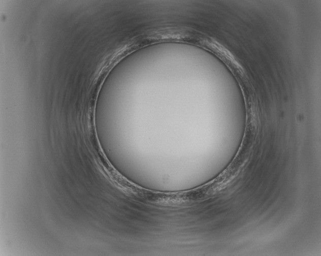 X0000080800537200612151035