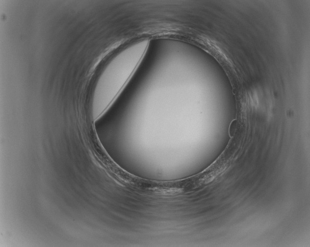 X0000080800539200612151035