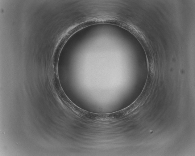 X0000080800540200612151035