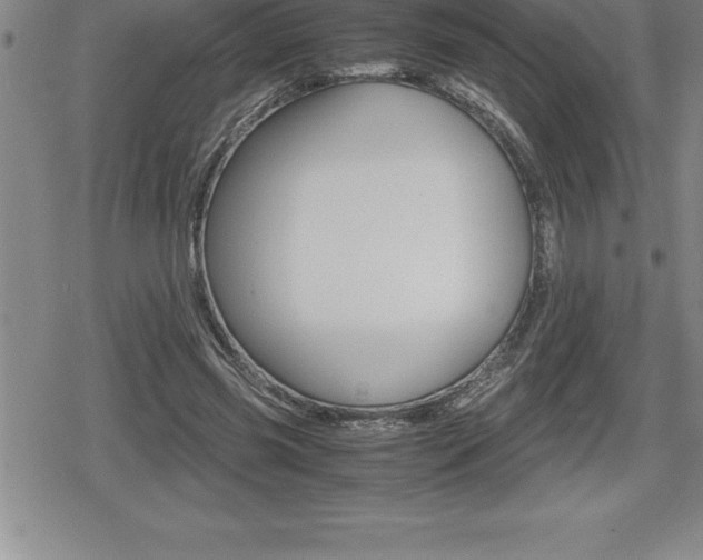 X0000080800541200612151035
