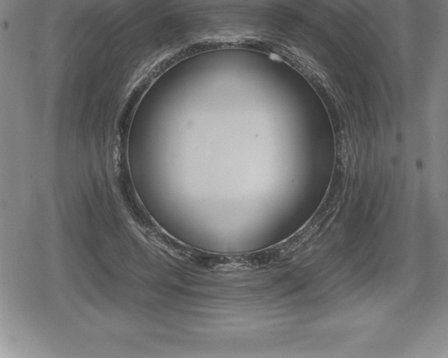 X0000080800544200612151035