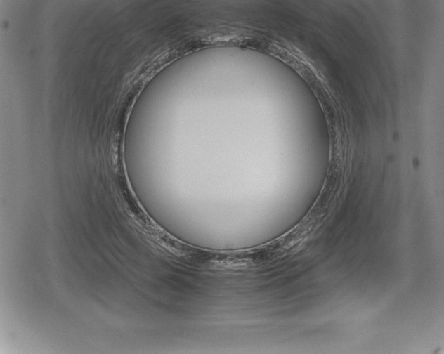 X0000080800545200612151035