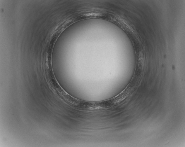 X0000080800547200612151035