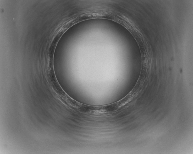 X0000080800548200612151035