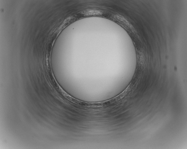 X0000080800549200612151035