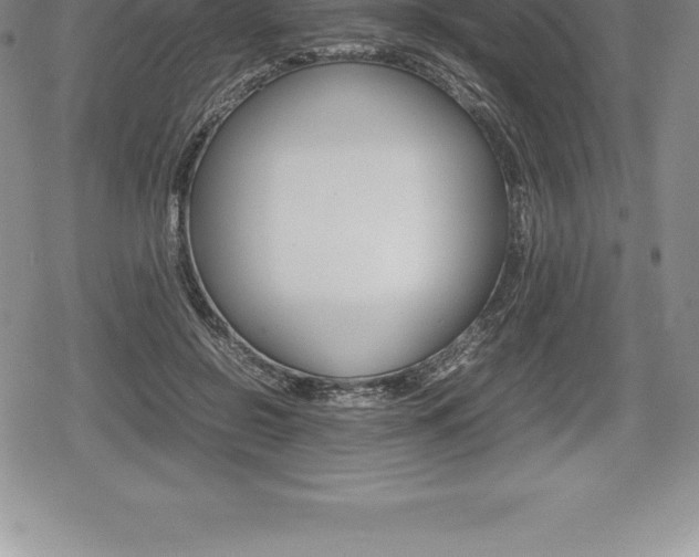 X0000080800550200612151035