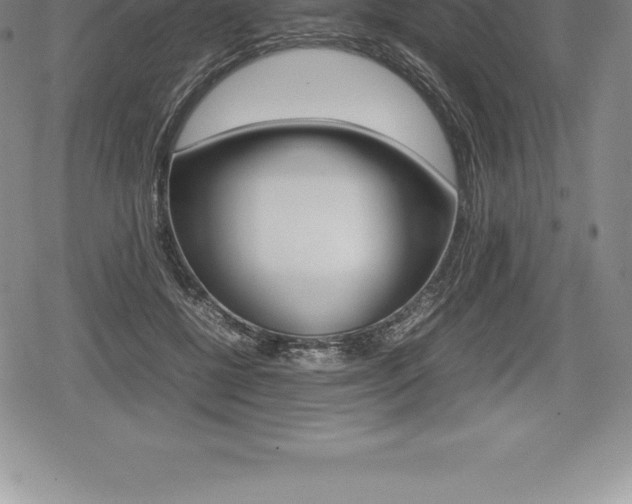 X0000080800552200612151035