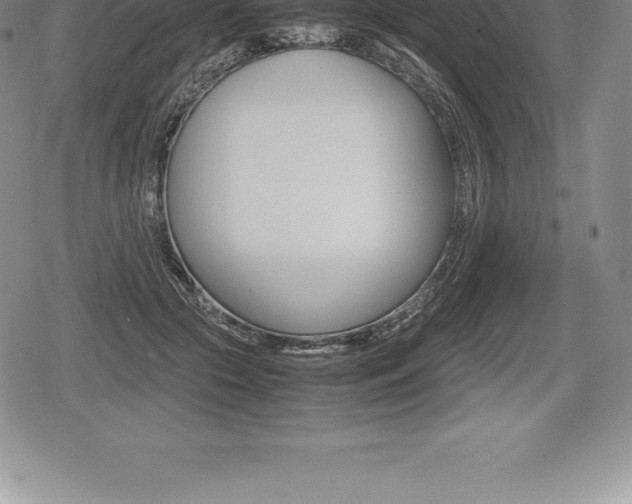 X0000080800553200612151035