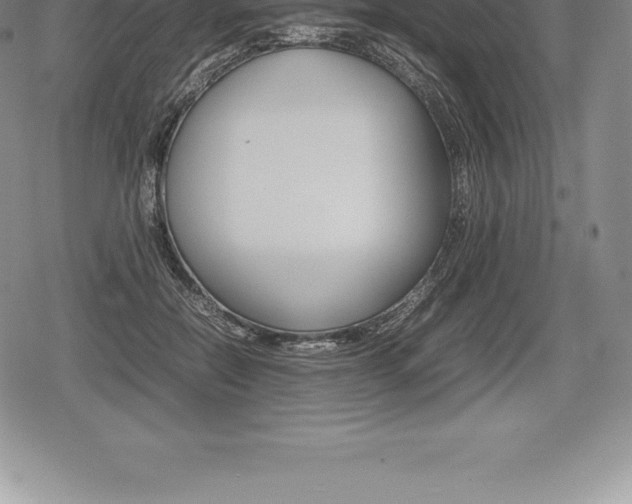 X0000080800554200612151035