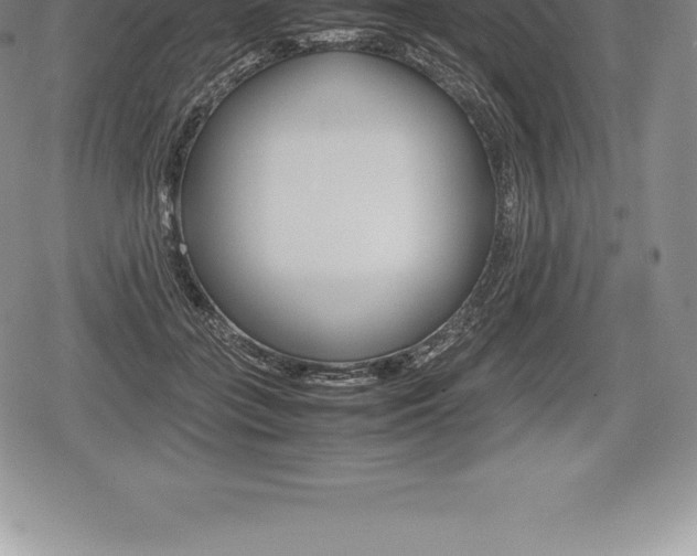 X0000080800555200612151035