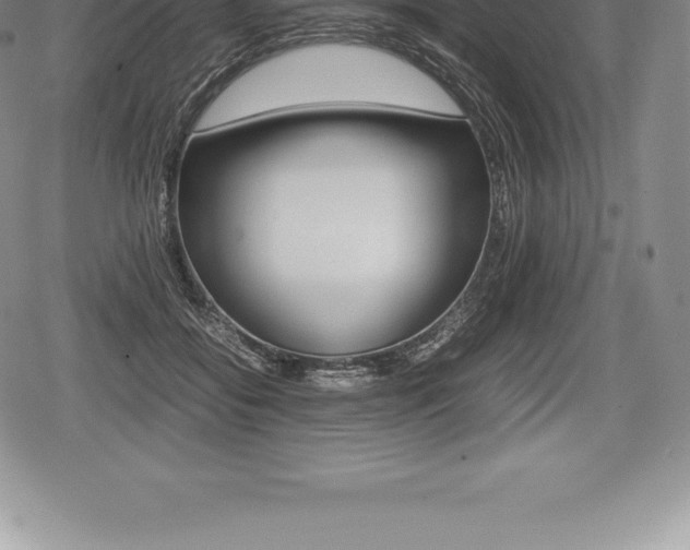 X0000080800556200612151035