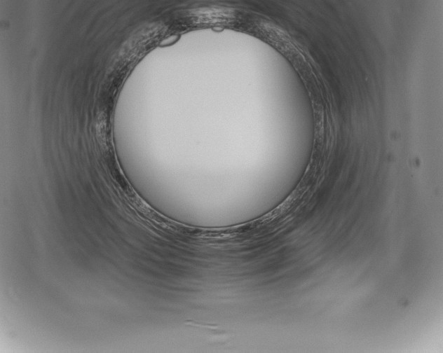 X0000080800557200612151035