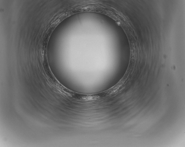X0000080800558200612151035