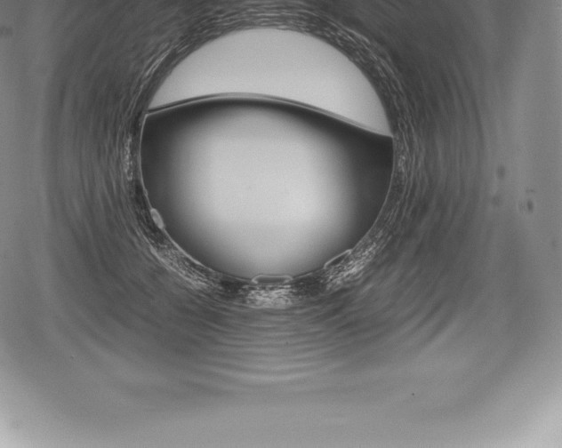 X0000080800560200612151035