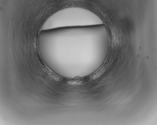 X0000080800561200612151035