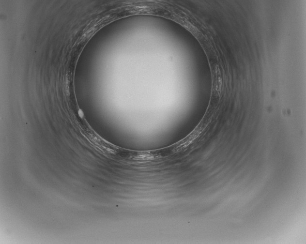 X0000080800562200612151035