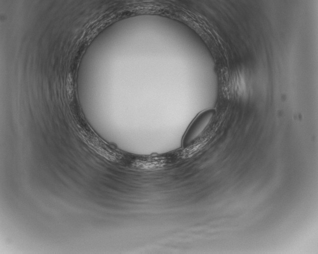 X0000080800563200612151035