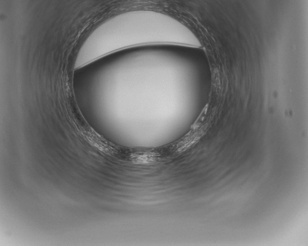 X0000080800564200612151035