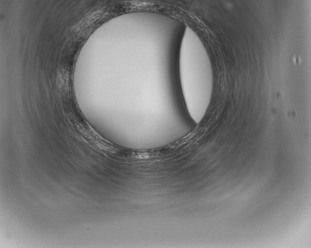X0000080800565200612151035