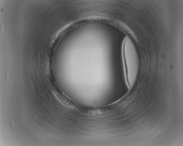 X0000080800588200612151035