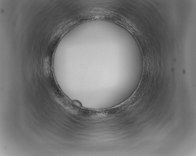 X0000080800594200612151034