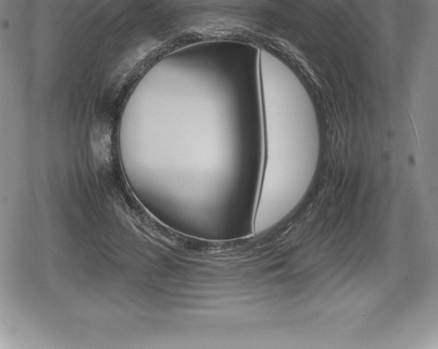 X0000080800596200612151034