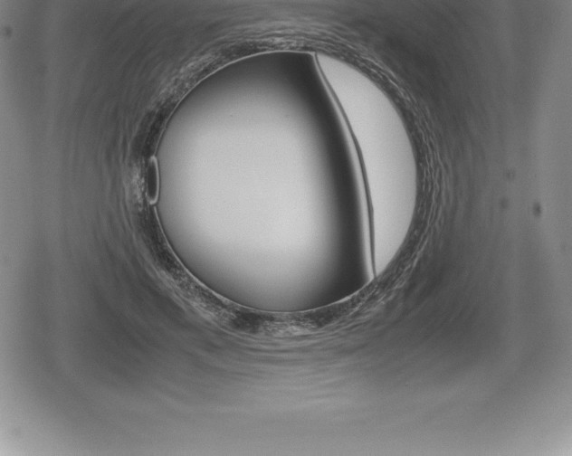 X0000080800597200612151034