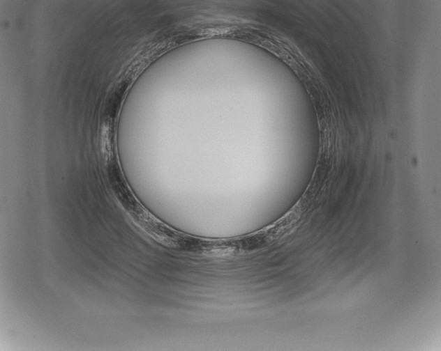 X0000080800598200612151034