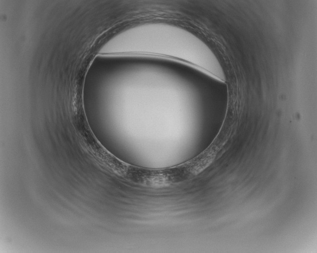 X0000080800600200612151034