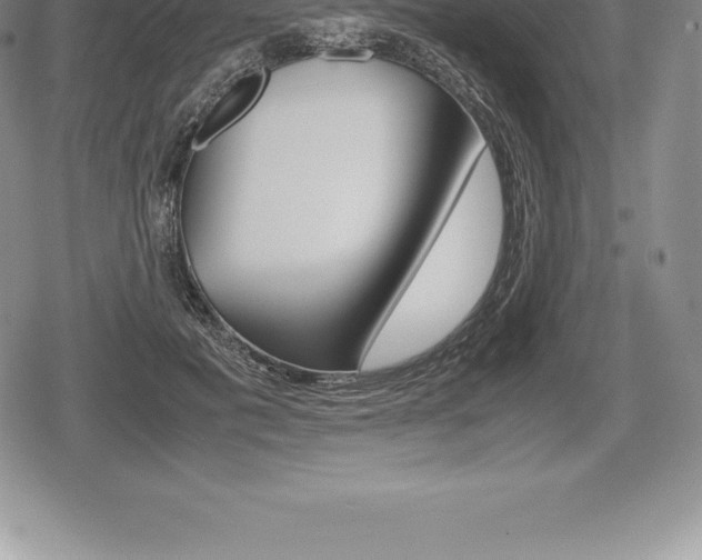 X0000080800601200612151034