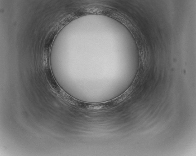 X0000080800602200612151034