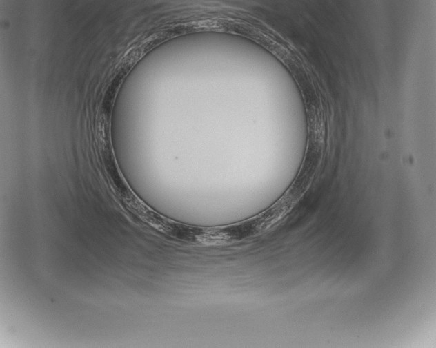 X0000080800603200612151034