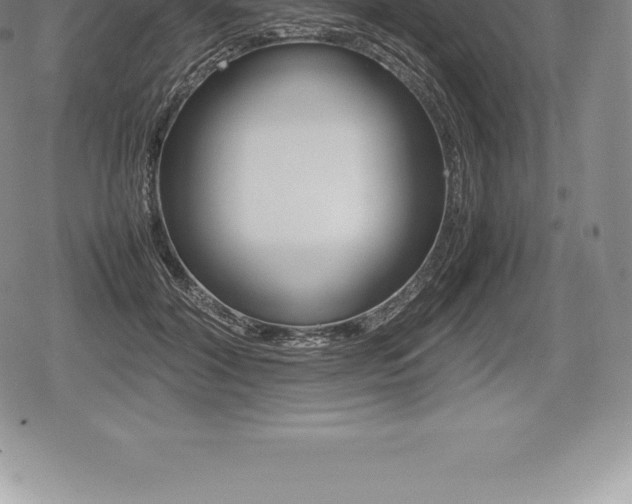 X0000080800604200612151034