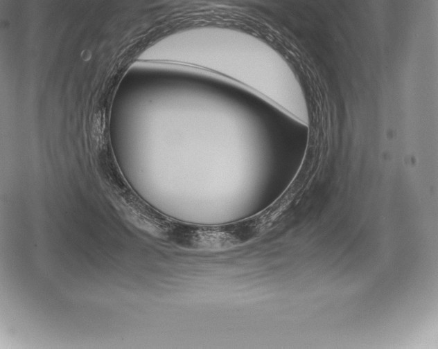 X0000080800605200612151034