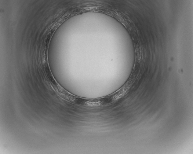 X0000080800606200612151034
