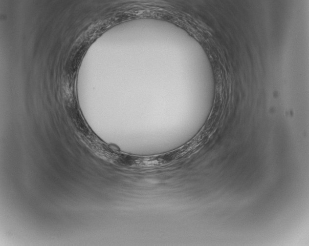 X0000080800607200612151034