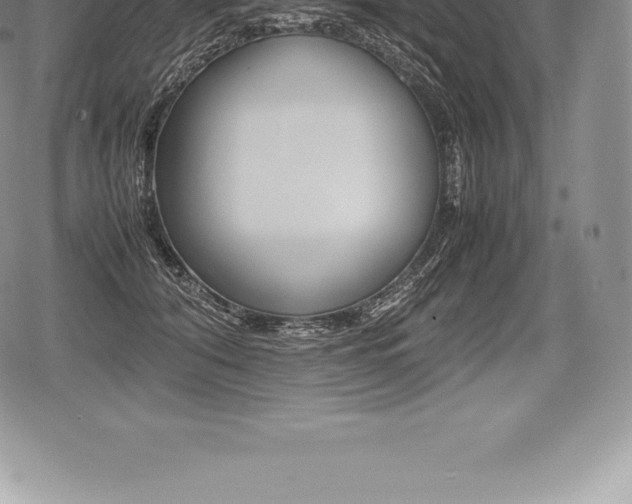 X0000080800608200612151034