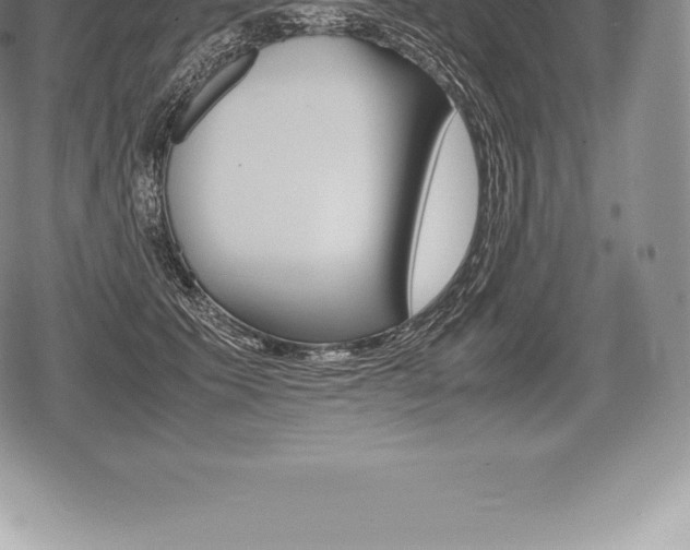 X0000080800609200612151034