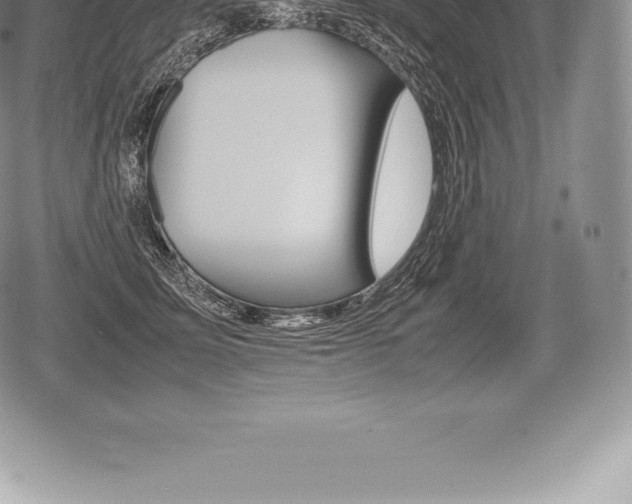 X0000080800611200612151034