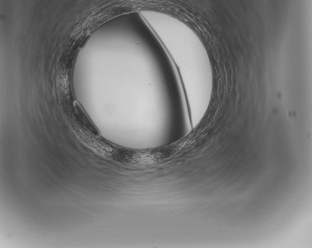 X0000080800613200612151034