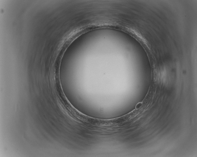 X0000080800631200612151033